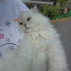 「あっつ～～！(￣。￣;)」サムネイル2