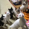 ミルボラ みよママ