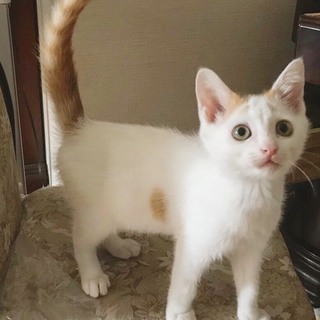 やんちゃっ子の光希くん