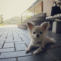 yuki