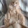 の写真