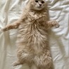 の写真