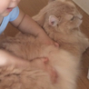 の写真