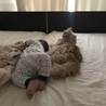 の写真