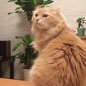 とても人懐こいです