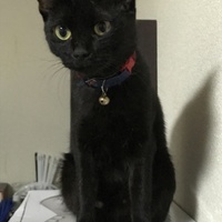 ちびくろ