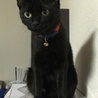 ちびくろ