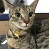 ジュニ