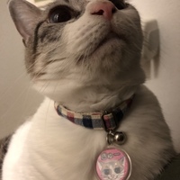 きゅー