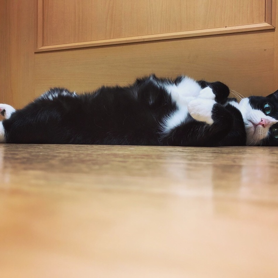 みゆのカバー写真