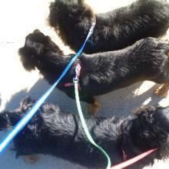 森尾月子のカバー写真