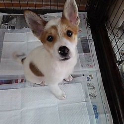 旅立って・・。