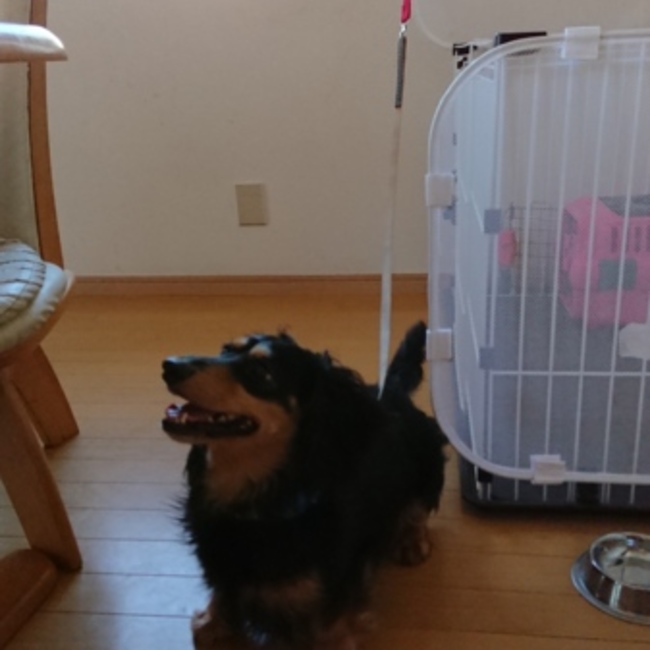 あやなおのカバー写真