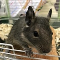 ありがとうございました