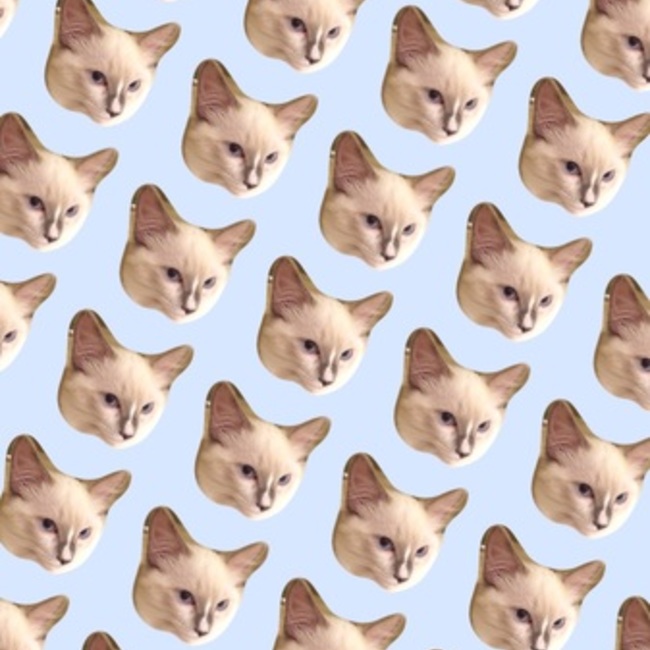 moma9111のカバー写真