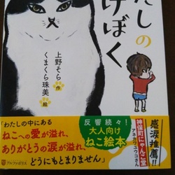 猫さんからの　love　letter です　