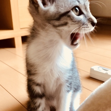 の写真