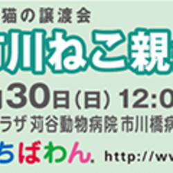 ちばわん市川ねこ親会 サムネイル1