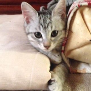 あたちは美人でちゅ♫