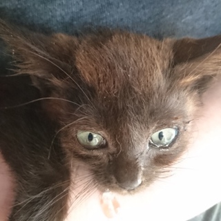 ありがとうございました！あ