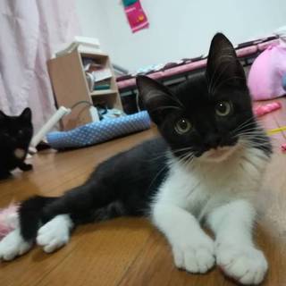 パーマンみたいな男の子