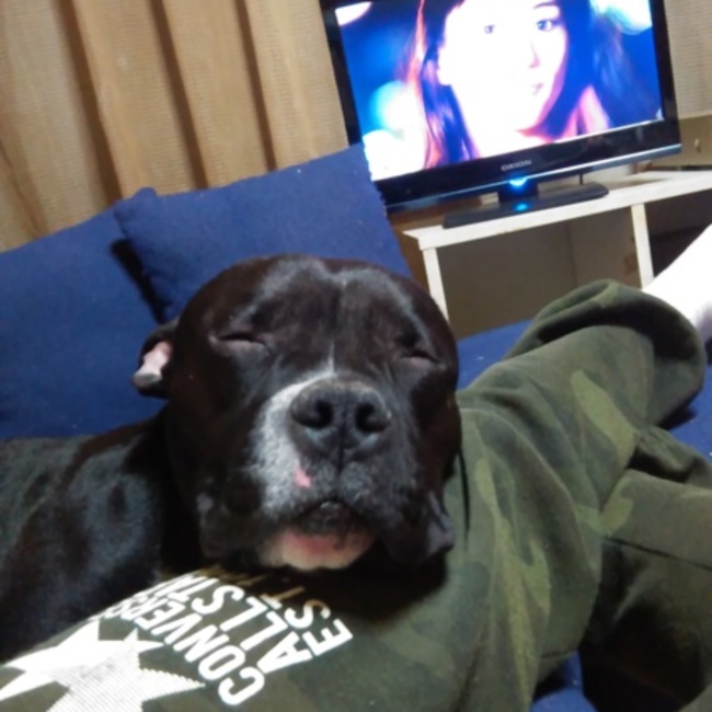 しおかぜのカバー写真