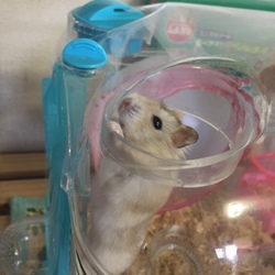 「あと少しで…⁉」