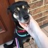 可愛いお顔のミクリちゃん。ビビりでドキドキしちゃう サムネイル2