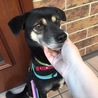 可愛いお顔のミクリちゃん。ビビりでドキドキしちゃう サムネイル3