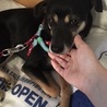 可愛いお顔のミクリちゃん。ビビりでドキドキしちゃう サムネイル4