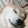てん母さん