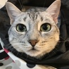 の写真