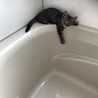 の写真