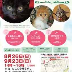 古民家カフェで　ねこの幸せさがし　譲渡会