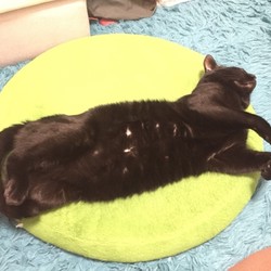 お迎えして1年経ちました