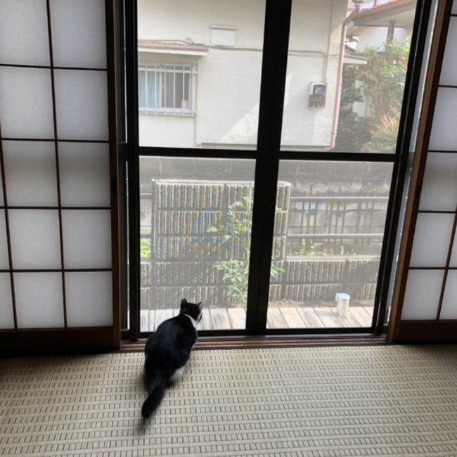 Akikowplayのカバー写真