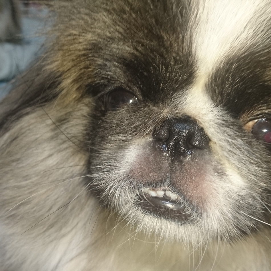 LOCOのカバー写真