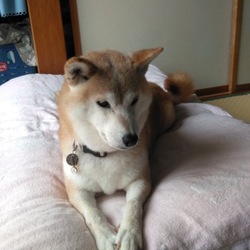 葵の独り言(*˘︶˘*)③