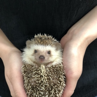 里親さん決定しました！