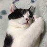 お昼寝