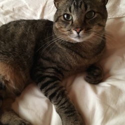 「HAL、甘噛み記念。」サムネイル2