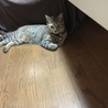 こちらで譲っていただきました。もうすぐ1年になります。