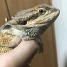 まよ93さん