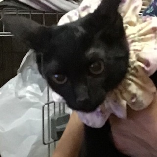 関西から来ました