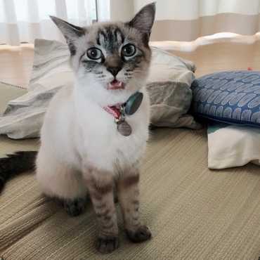 の写真