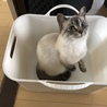 の写真