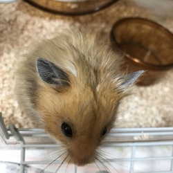 小さな体の命（訂正あり）