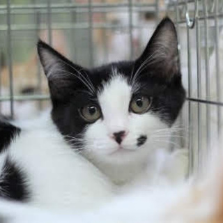 なれなれ3兄妹　2