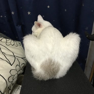 ななの美尻をご覧ください