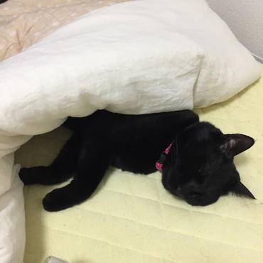 自分のこと人だと思ってる…？